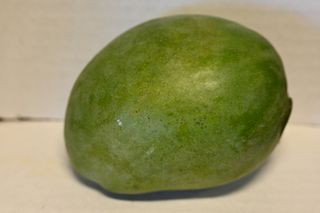 MANGOS - ECUDOR