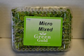 HERBS MICRO  MIXED - PUNNET