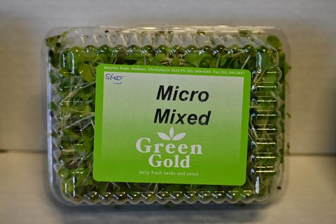 HERBS MICRO  MIXED - PUNNET