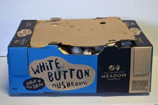 MUSHROOM BUTTON (4KG BOX) TAG 1