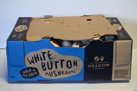 MUSHROOM BUTTON (4KG BOX) TAG 1