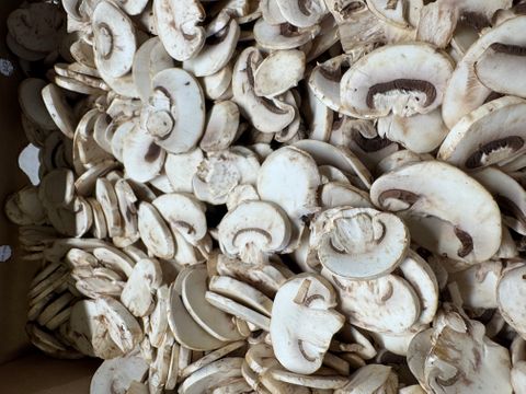 MUSHROOMS BUTTON  SLICED (2KG CARTON)