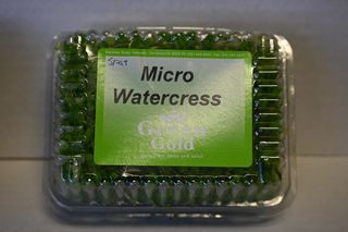 WATERCRESS MICRO HERB PUNNET