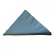 2PLY LUNCH NAPKIN LT/BLUE / 100