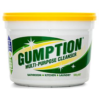 Gumption 500Gm