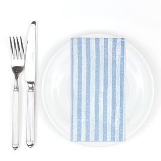 Napkin Extra Soft 40x40 GT Kim Blue x 800 (32x25) Compostable