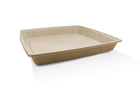 Sugarcane Platter 16" / 100