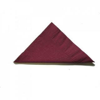 Burgundy 2Ply Lunch Napkins Pkt 100