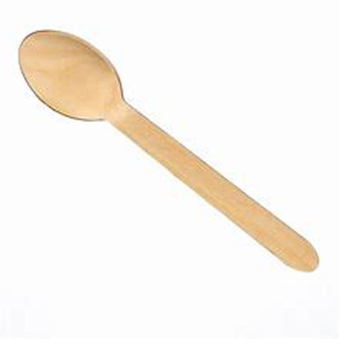 Eco Style Wooden Spoon/100 (10)