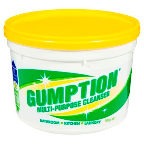 Gumption Paste Cleaner 500G