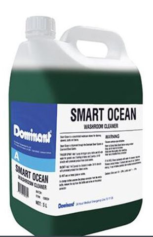Dom Smart Ocean Bathroom Cleaner 5L