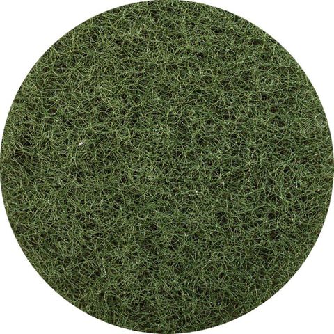 Glomesh Pad Regular Green 400Mm /Each