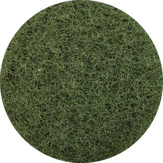 Glomesh Pad Regular Green 450Mm /Each