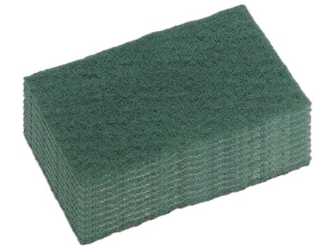 Oates Duraclean Scourer H/D 15 X 10Cm Grn / 10Pk