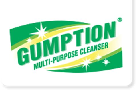 Gumption 500 Gm