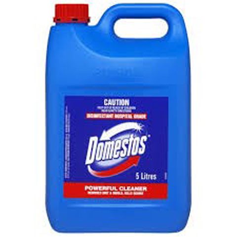 Div/Lever Domestos Regular 5L