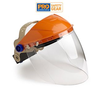 Assembled Browguard With Visor