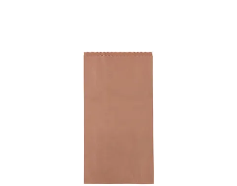 Castaway Two Stubby Bottles Paper Bag For Wine & Liquor 305 X 133 X 70mm