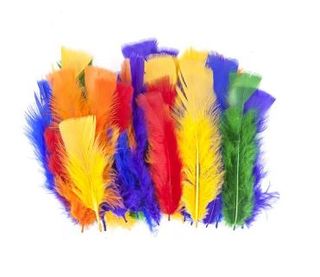 Little Learners Turkey Feathers Asst 10G