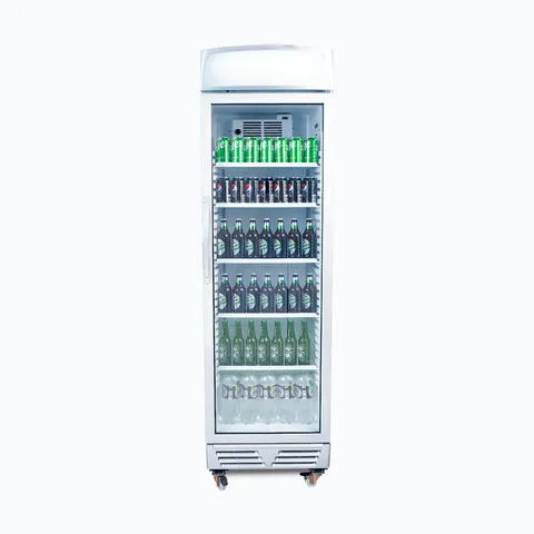 Bromic Upright Display Fridge GM0374L-NR 372l 1 Door LED Eco Light Box 2100 X 640 X 595mm