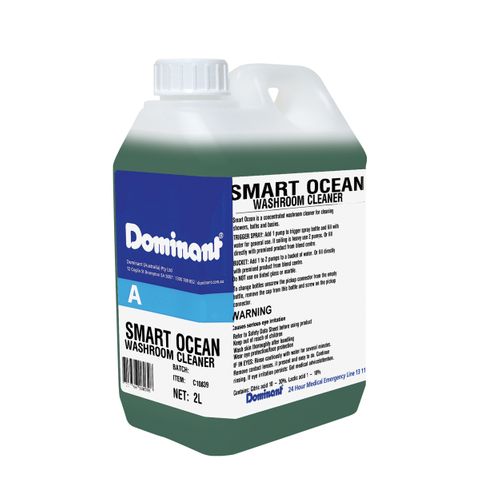 Dom Smart Ocean Bathroom Cleaner 5L