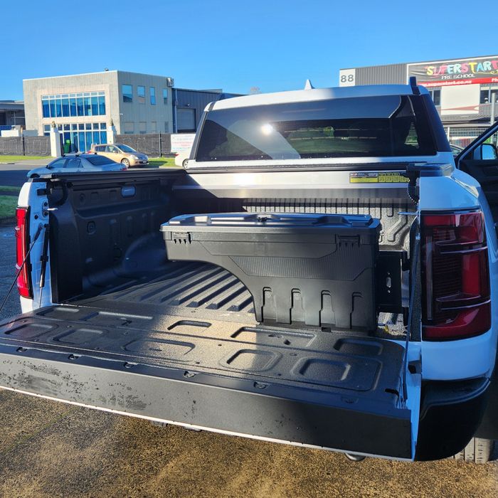 BYD Shark Swing Case