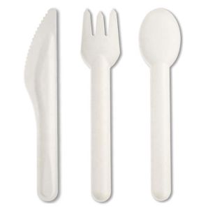 Sugarcane Cutlery