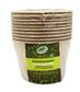 EC 4oz S/Cane I/Crm Cup 10PK x 20pk/ctn