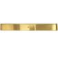 Tile Insert Floor Drain 900x110x20mm Brushed Gold S/S