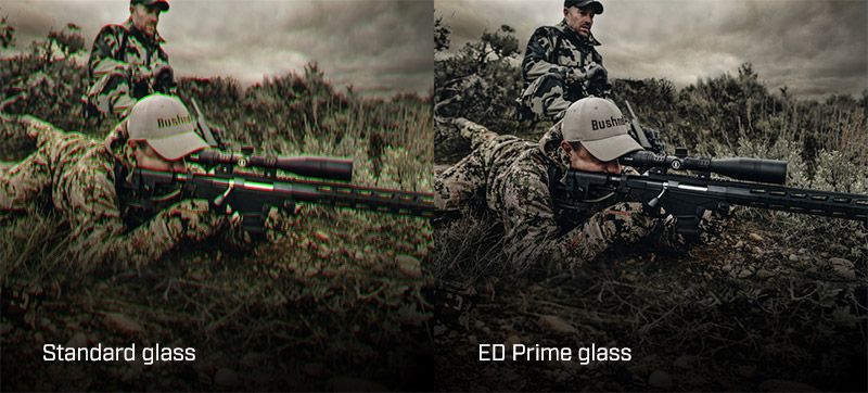 Standard versus ED Prime glass