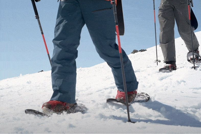 MSR Paragon Bindings: Ultimate Security