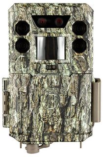 Trail Cameras