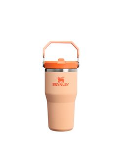 Iceflow Flip Straw Tumbler 20 OZ