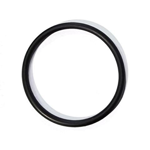 C/Part Guardian Pist Nut Assy o-ring