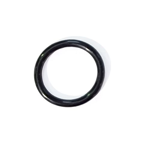 C/Part Grdn Pist Nut Assy Int o-ring