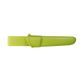 Companion (S) Olive Green
