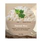 BULK Basmati Rice