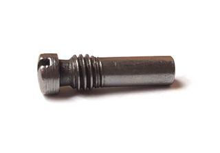 Rio Grande Carrier Screw s/less