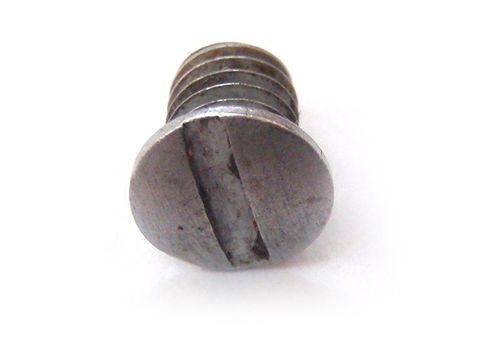 Puma Spring Cover Screw (Stainless)