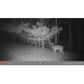 12MP Trail Cam: Low Glow*