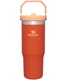The IceFlow Flip Straw Tumbler | 885ml Tigerlily