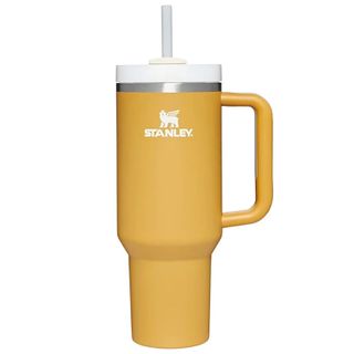 The Quencher H2.0 FlowState™ Tumbler | 40 OZ Yarrow