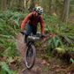 Hubba Hubba Bikepack 1