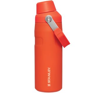 The IceFlow™ Bottle with Fast Flow Lid | 16 OZ Tigerlily