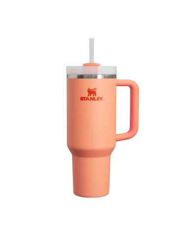 The Quencher H2.0 Flowstate™ Tumbler | 40 OZ Nectarine