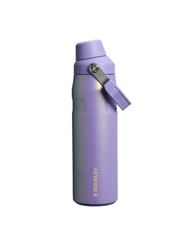 The New Frequency IceFlow™ Bottle with Fast Flow Lid | 24 OZ Periwinkle Shimmer
