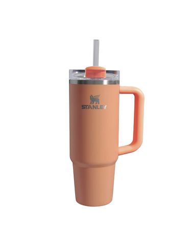 The Quencher H2.0 FlowState™ Tumbler | 30 OZ FUSION CORAL