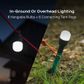 Site Lights