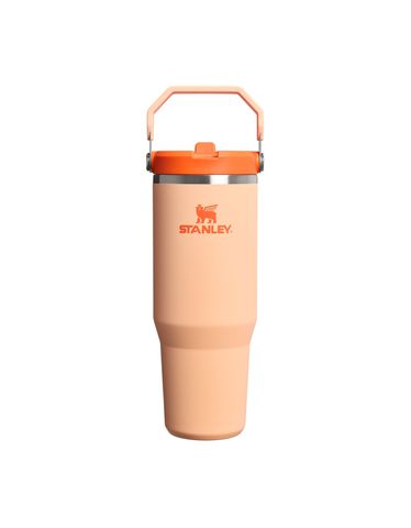 The IceFlow&trade; Flip Straw 2.0 Tumbler | 30 OZ Orange Sherbet