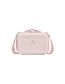 The All Day Mini Lunch Box | 4.2 QT | 4 L Rose Quartz